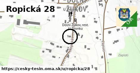 Ropická 28, Český Těšín