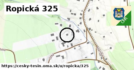 Ropická 325, Český Těšín