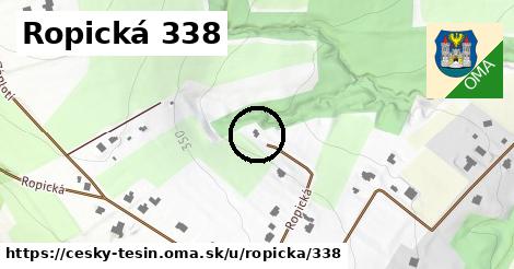 Ropická 338, Český Těšín