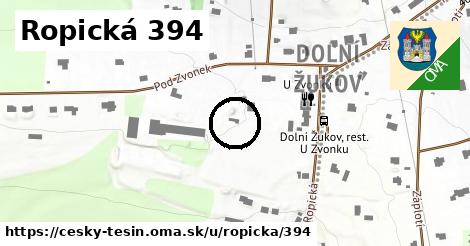 Ropická 394, Český Těšín