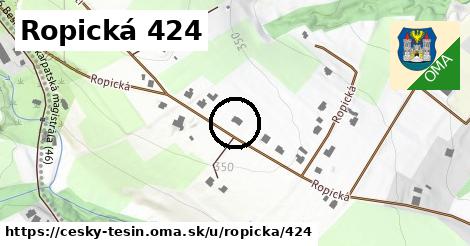 Ropická 424, Český Těšín