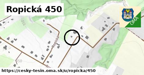 Ropická 450, Český Těšín