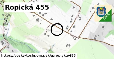 Ropická 455, Český Těšín