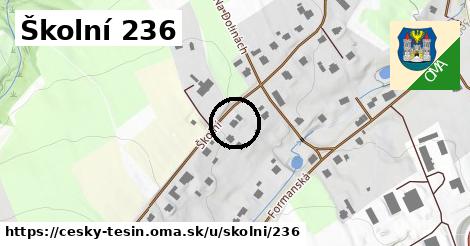 Školní 236, Český Těšín