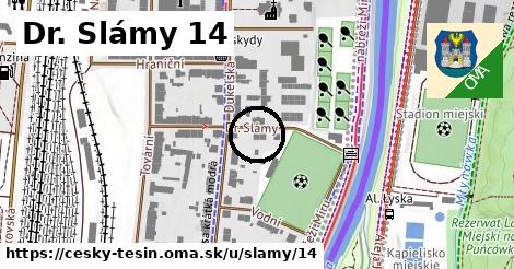 Dr. Slámy 14, Český Těšín