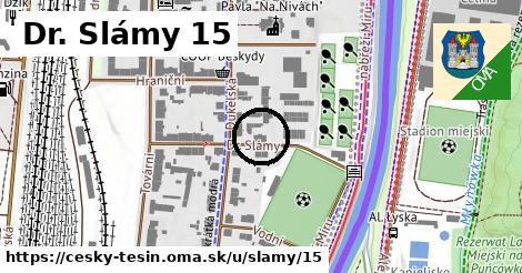 Dr. Slámy 15, Český Těšín