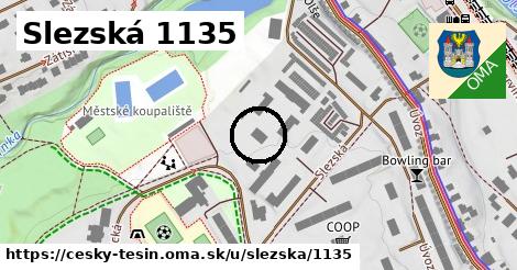 Slezská 1135, Český Těšín