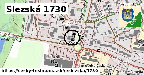 Slezská 1730, Český Těšín