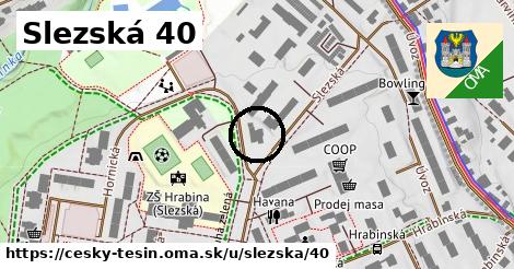 Slezská 40, Český Těšín
