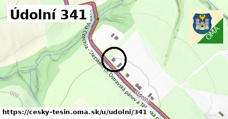Údolní 341, Český Těšín