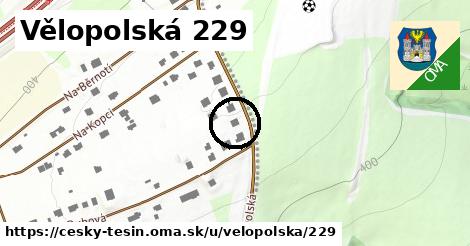Vělopolská 229, Český Těšín