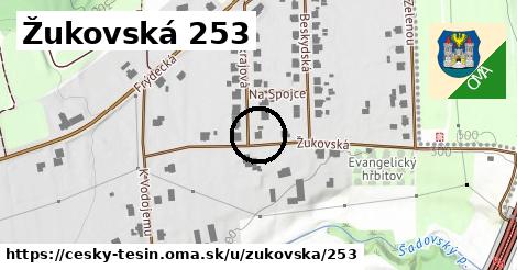 Žukovská 253, Český Těšín