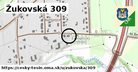 Žukovská 309, Český Těšín