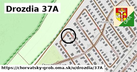 Drozdia 37A, Chorvátsky Grob
