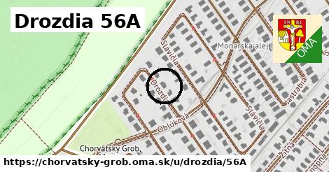 Drozdia 56A, Chorvátsky Grob