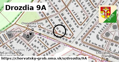 Drozdia 9A, Chorvátsky Grob