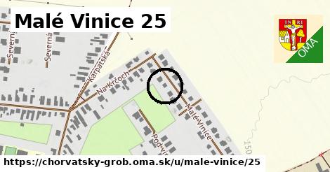 Malé Vinice 25, Chorvátsky Grob