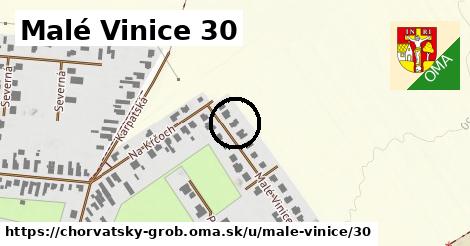 Malé Vinice 30, Chorvátsky Grob