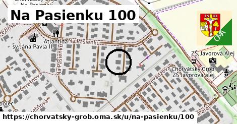 Na Pasienku 100, Chorvátsky Grob