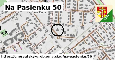 Na Pasienku 50, Chorvátsky Grob