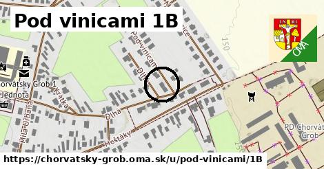 Pod vinicami 1B, Chorvátsky Grob