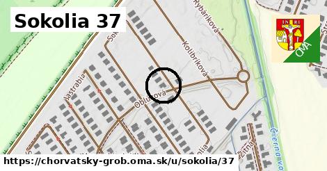 Sokolia 37, Chorvátsky Grob