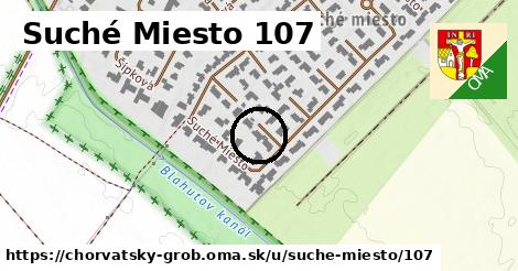 Suché Miesto 107, Chorvátsky Grob