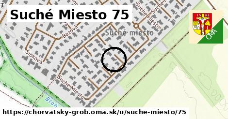 Suché Miesto 75, Chorvátsky Grob