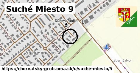 Suché Miesto 9, Chorvátsky Grob