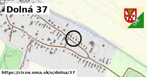 Dolná 37, Číčov
