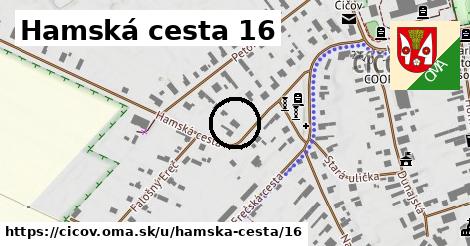 Hamská cesta 16, Číčov