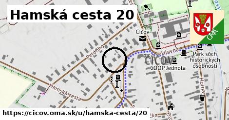 Hamská cesta 20, Číčov