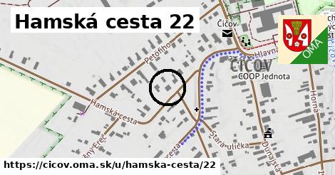 Hamská cesta 22, Číčov