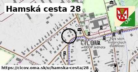 Hamská cesta 28, Číčov