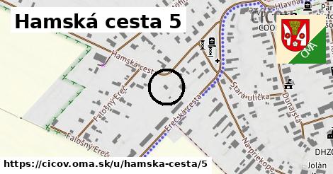 Hamská cesta 5, Číčov