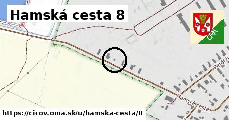 Hamská cesta 8, Číčov