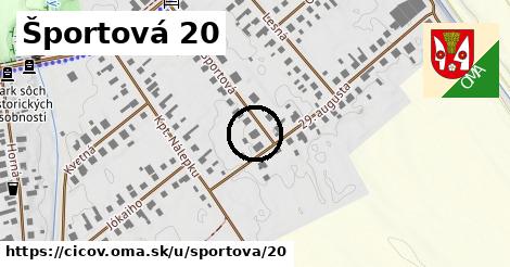 Športová 20, Číčov