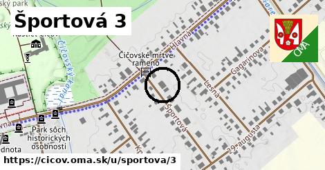 Športová 3, Číčov