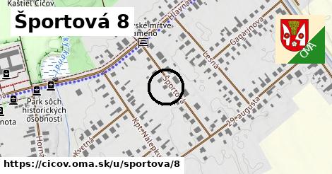 Športová 8, Číčov