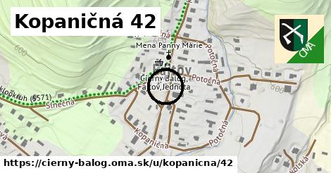 Kopaničná 42, Čierny Balog