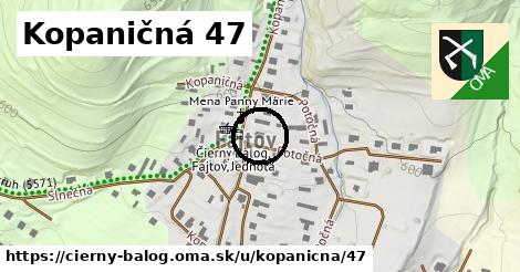 Kopaničná 47, Čierny Balog