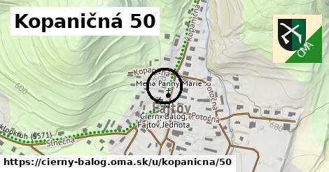 Kopaničná 50, Čierny Balog