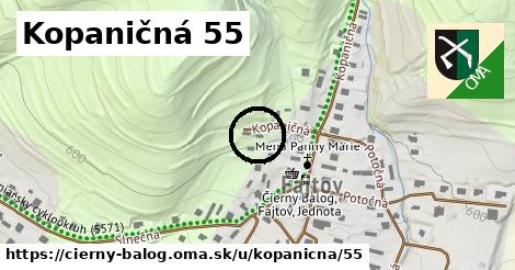 Kopaničná 55, Čierny Balog