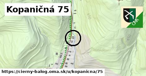 Kopaničná 75, Čierny Balog