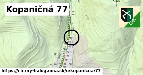 Kopaničná 77, Čierny Balog