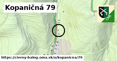 Kopaničná 79, Čierny Balog