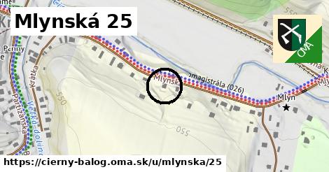 Mlynská 25, Čierny Balog