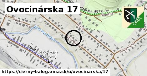 Ovocinárska 17, Čierny Balog