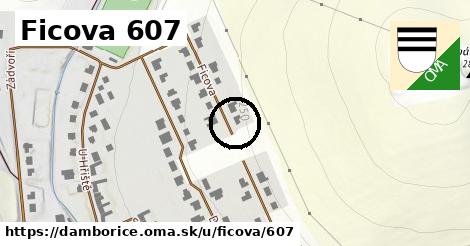 Ficova 607, Dambořice