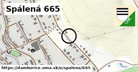 Spálená 665, Dambořice